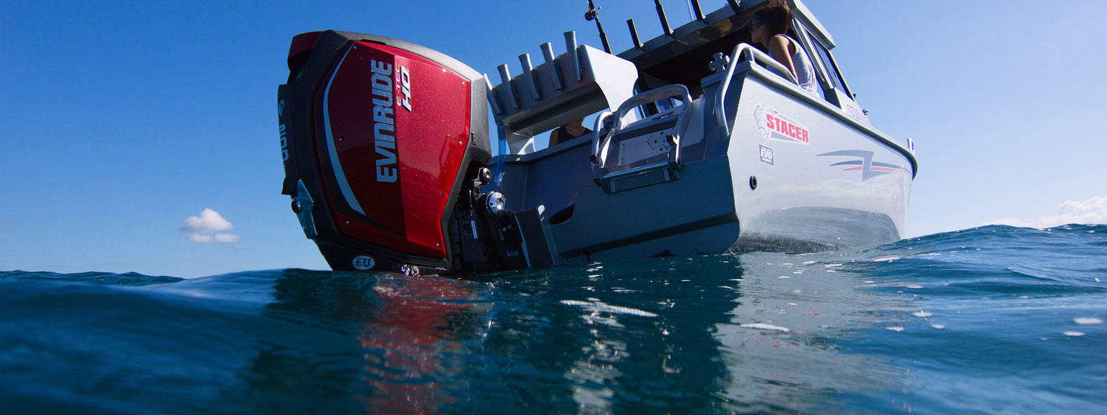 Evinrude Etec models